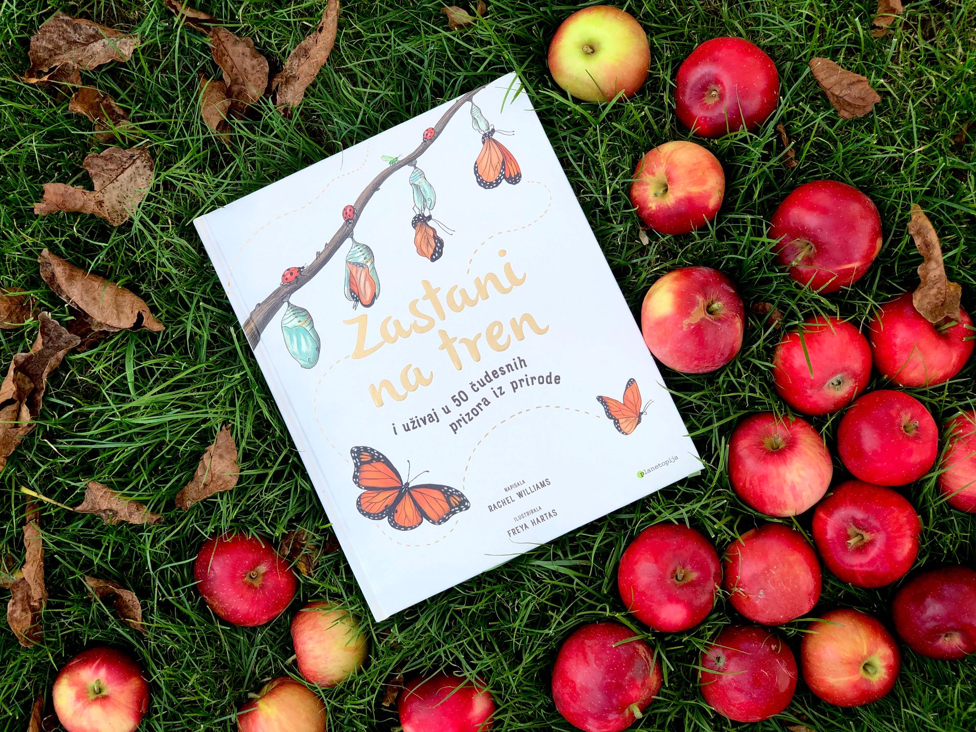 Rachel Williams: Zastani na tren